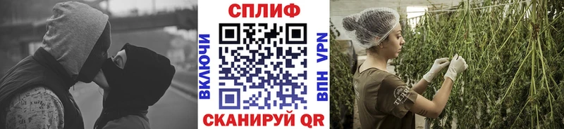 Канабис OG Kush Бавлы